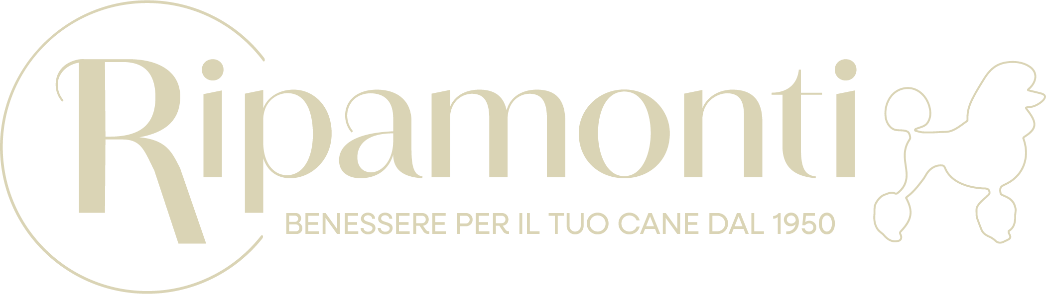iRipamonti Logo